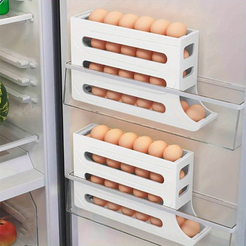 ORGANIZADOR DE HUEVOS