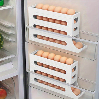 ORGANIZADOR DE HUEVOS
